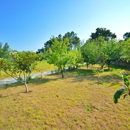 Casa Con Jardín Próxima A Vilagarcía De Arousa